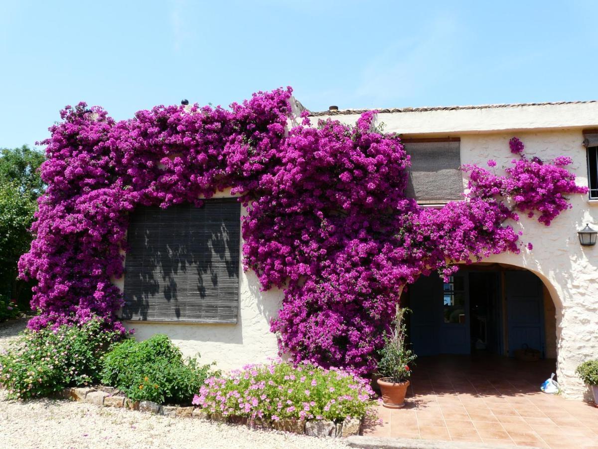 Casa Rural Con Encanto, 4 Hab Con 4 Banos Completos En Suite, Piscina Y Campo Privado Pedreguer Exteriör bild